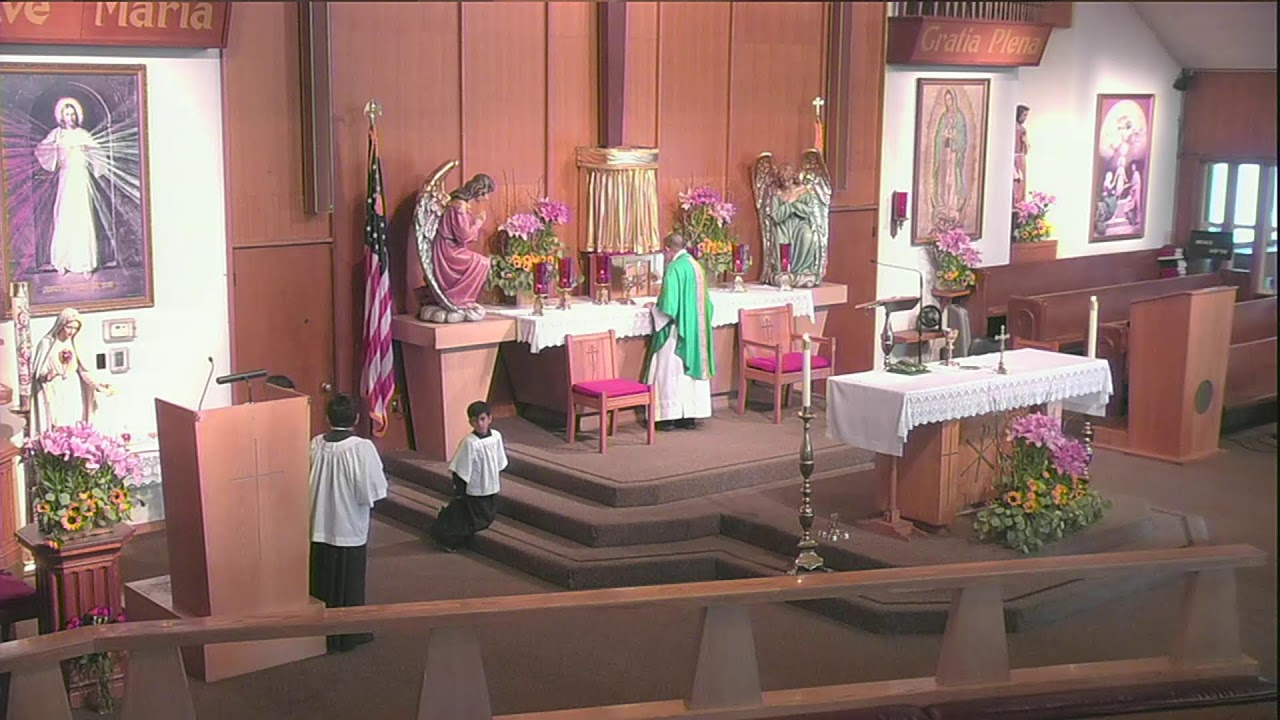 8:00am Holy Mass  - Thursday, February 12, 2026