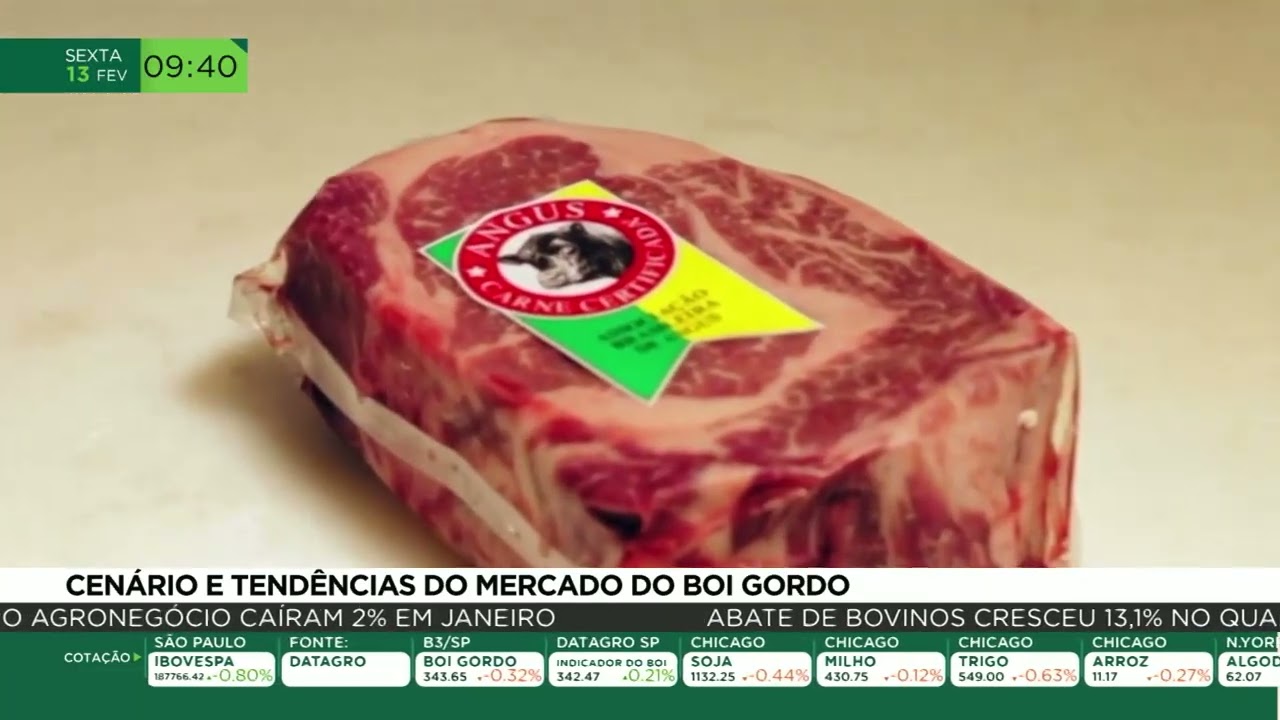 Cenário e tendências do mercado do boi gordo