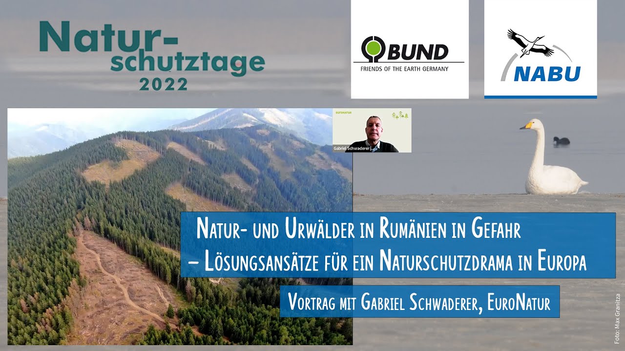 Natur- und Urw&auml;lder in Rum&auml;nien in Gefahr &ndash; L&ouml;sungsans&auml;tze f&uuml;r ein Naturschutzdrama in Europa
