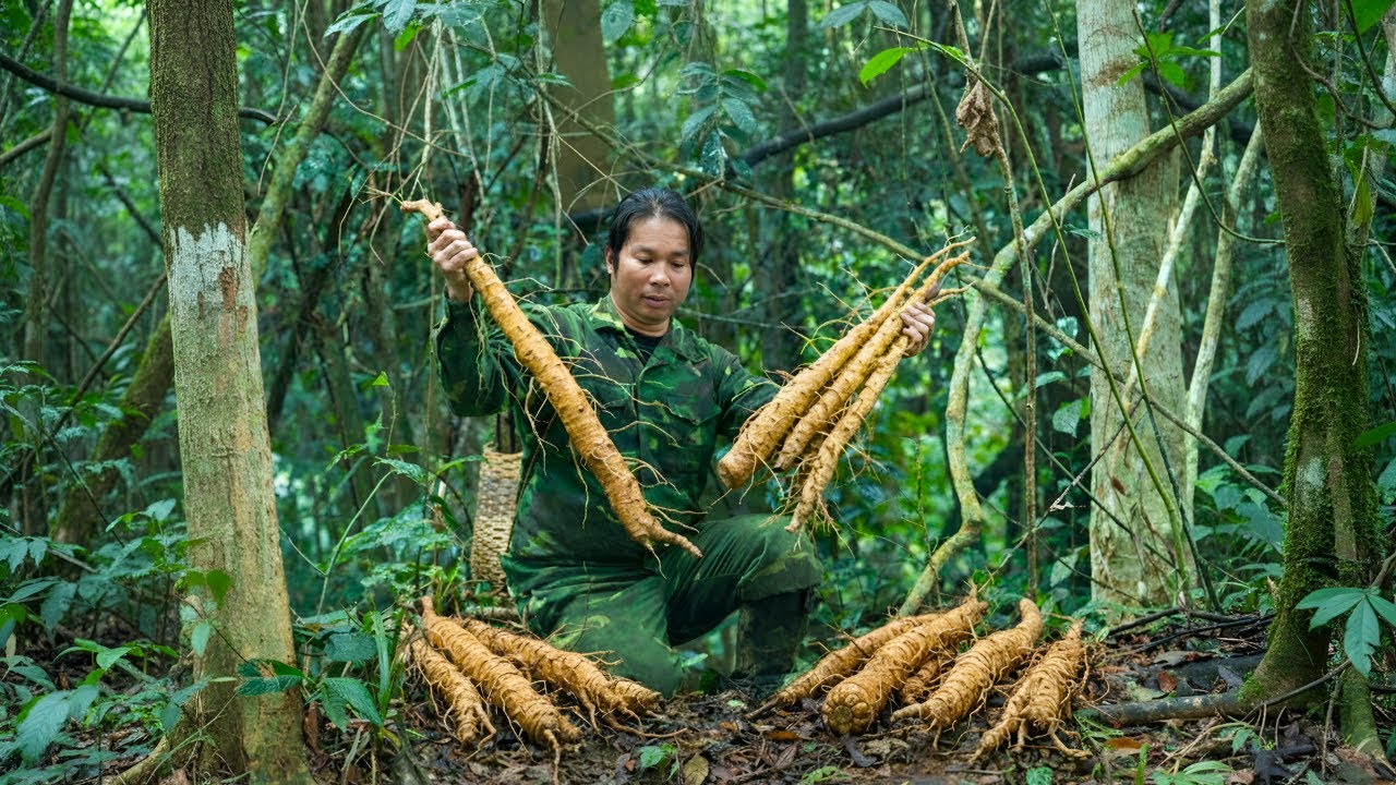 Harvest ginseng during the rainy season, gather firewood, and build trellises for loofah vines