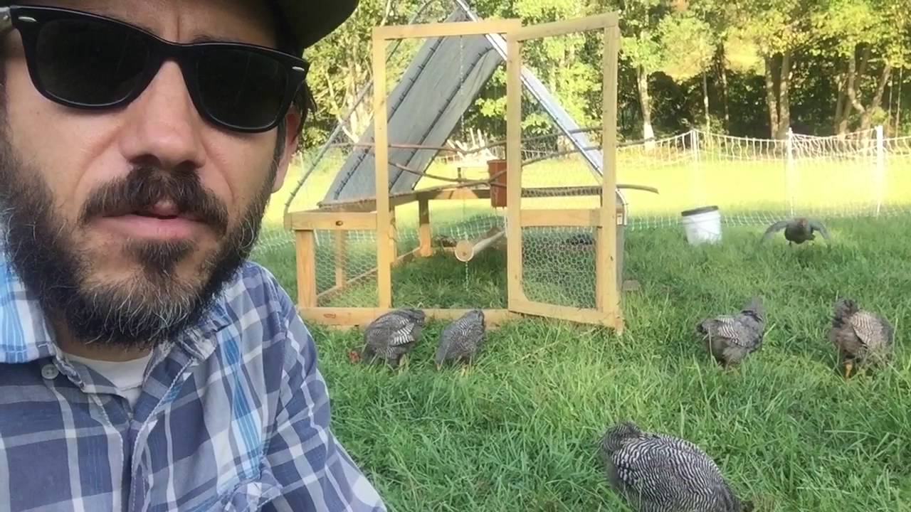 Processing pastured poultry