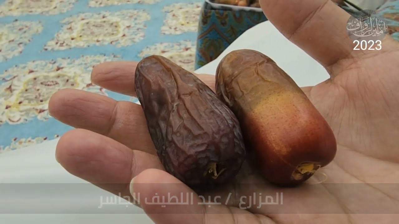نوادر اصناف التمور