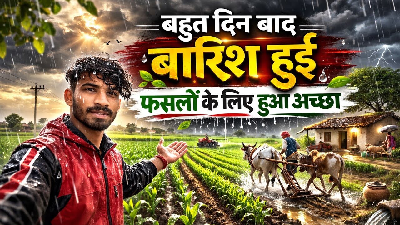 बहुत दिन बाद बारिश हुई 🌧️ | फसलों के लिए हुआ अच्छा | Pahadi Lifestyle Vlog | Karniyal's