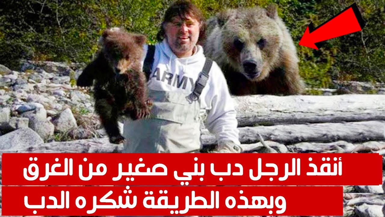أنقذ الرجل دب بني صغير من الغرق ، وبهذه الطريقة شكره الدب