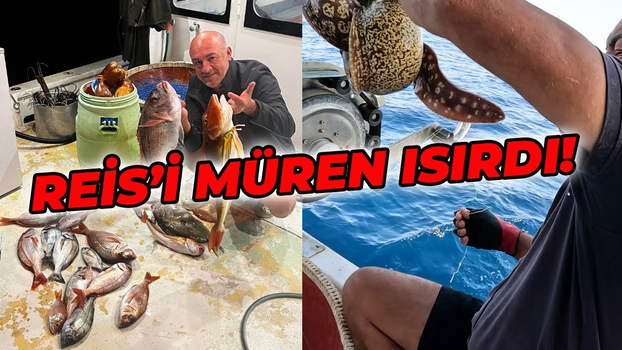 TÜRKİYE'NİN EN BATI NOKTASINDA PARAGAT AVI! | İLKER REİS'İ MÜREN ISIRDI!