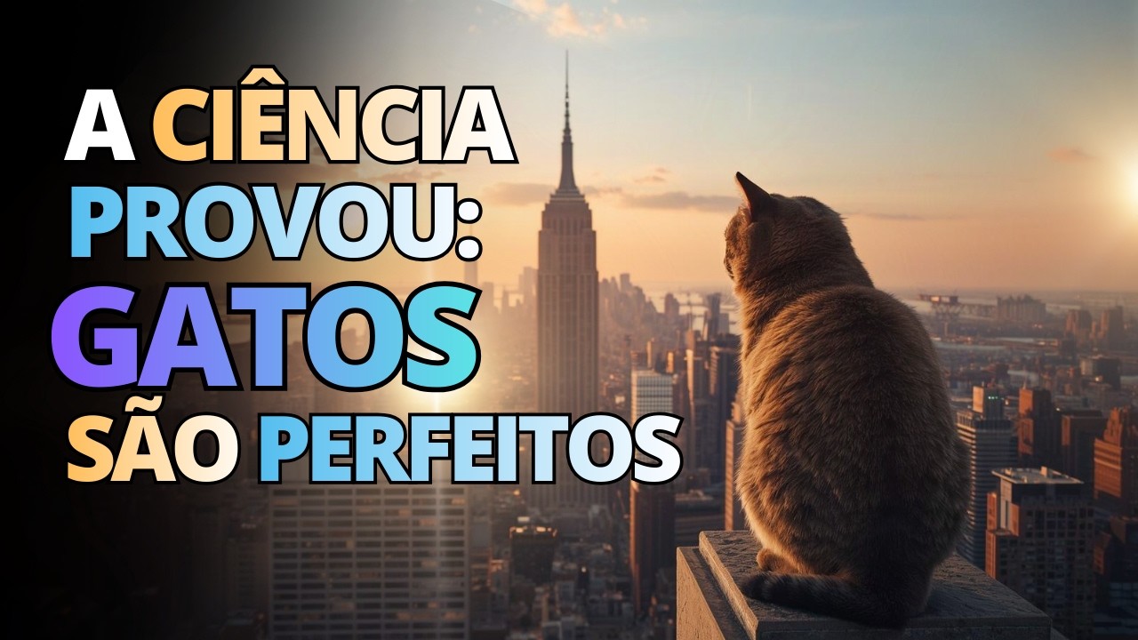 A Ciência Provou: Gatos São Perfeitos