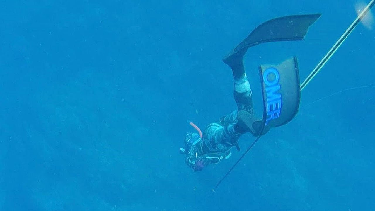 素潜りで巨大魚を突く