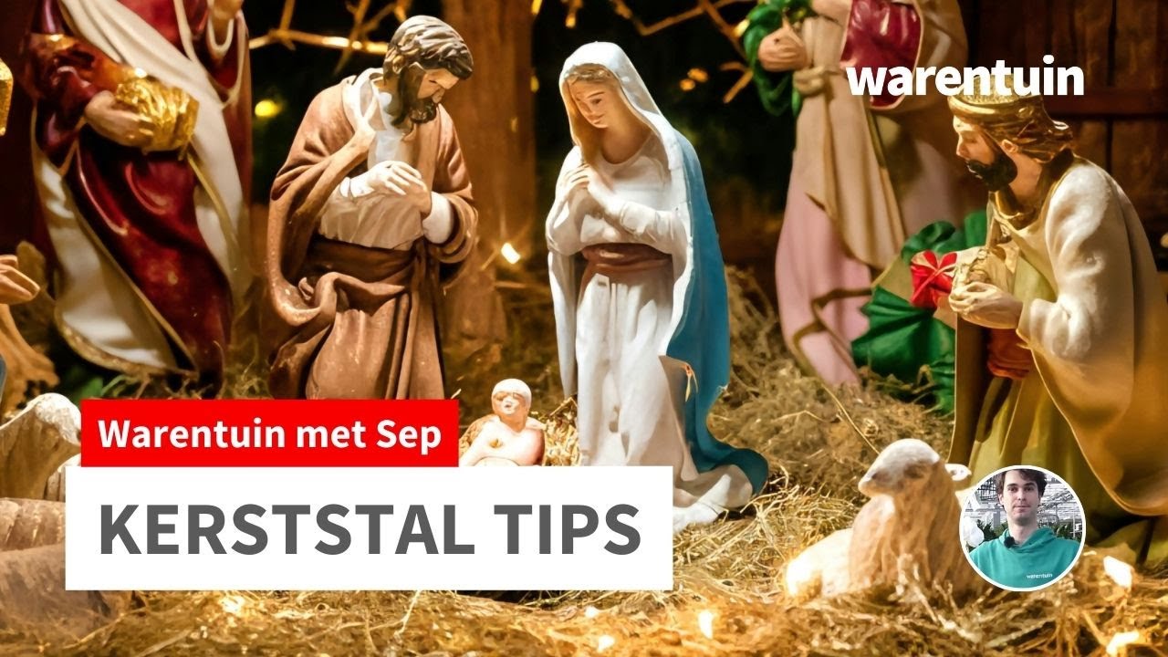 Kerststal tips