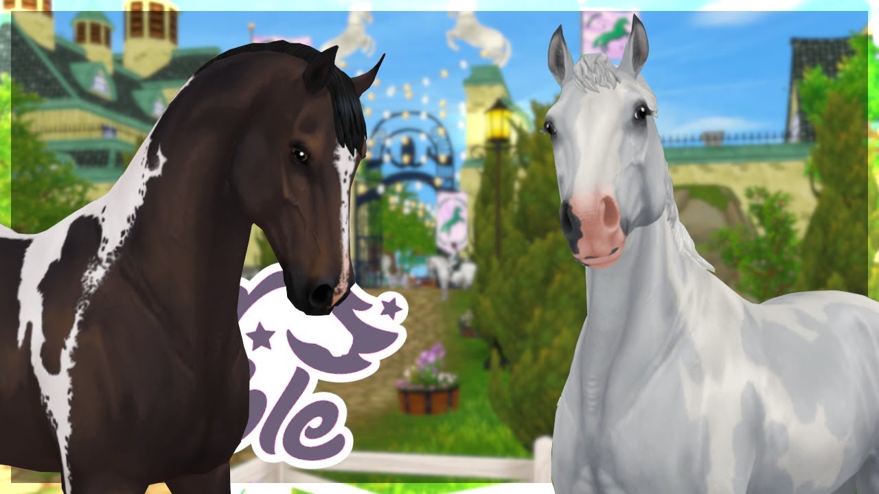 Ekskluzywne czempiony! SABINE ZNOWU ROBI BAŁAGAN W STAR STABLE ONLINE!