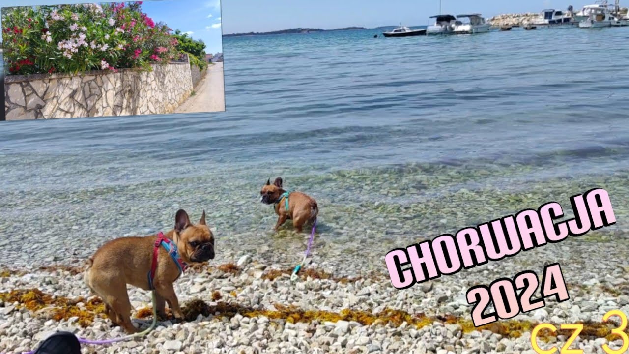 Fazana🏛️ Plażowanie 🌴zwiedzania okolic część dalsza🐕🐕🙂🌴