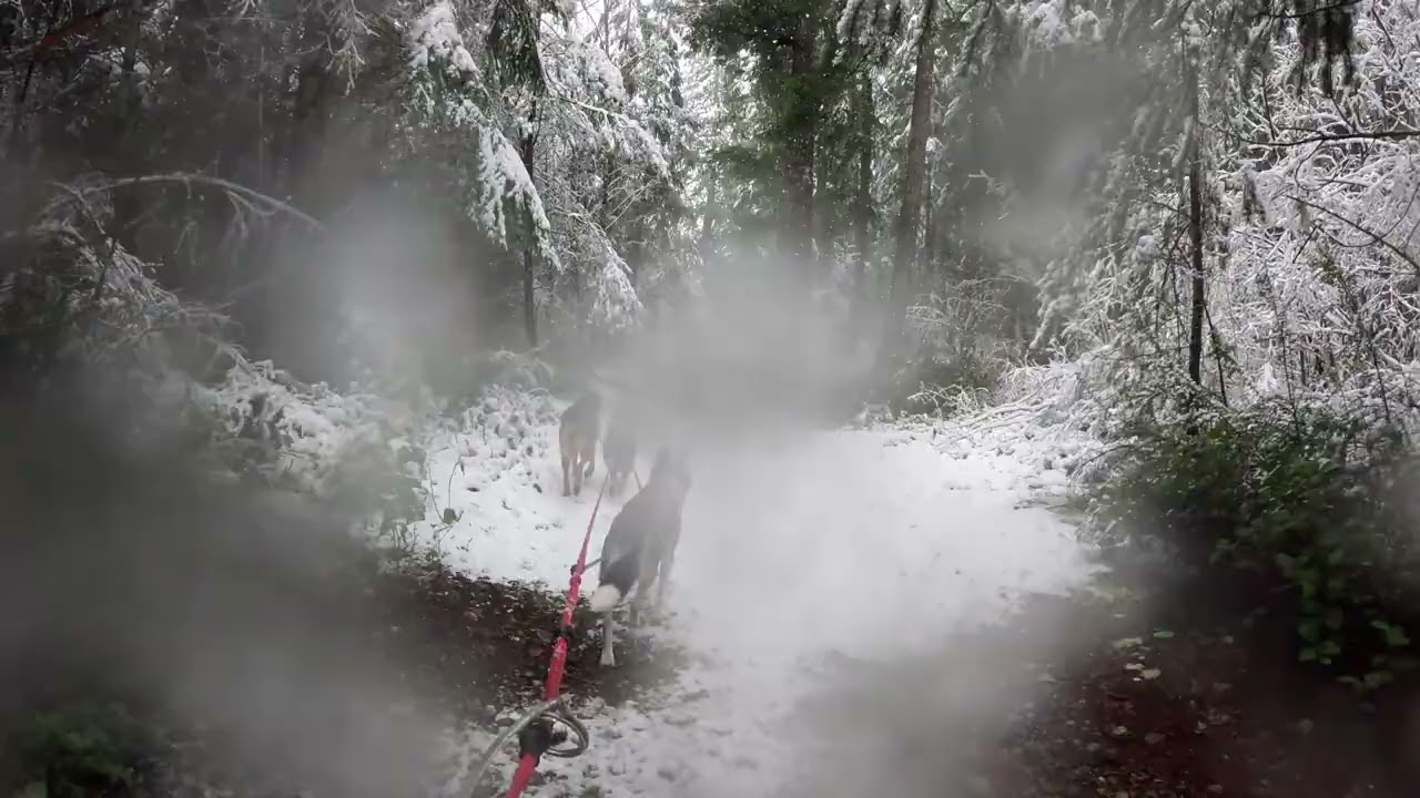More bikejor snow fun!