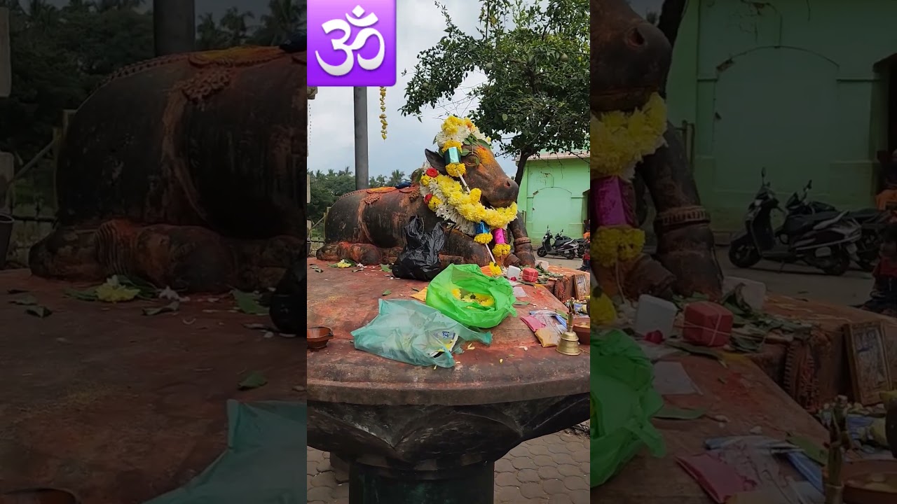 #nanjangud #nanjundeswarar #shiva #temple #karnataka #india #hindu #hinduism #hindudeity