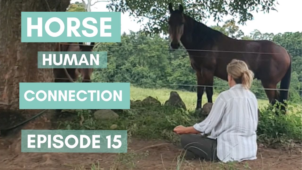 Horse Human Connection Ep15