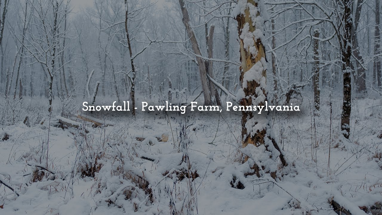 Snowfall - Pawling Farm, Pennsylvania
