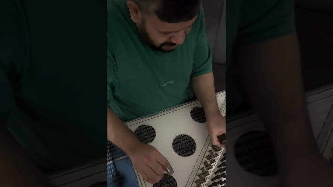Kutsal Sütoğlu 