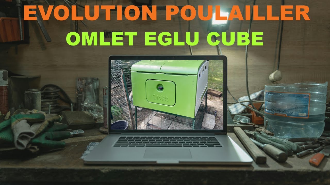 👉 Mise à jour de mon Poulailler (Omlet Eglu): Améliorations et Conseils Pratiques 🐓🏡