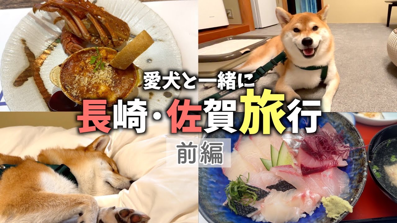柴犬と九州旅行【前編】ペットリゾートブレインズ長崎へ