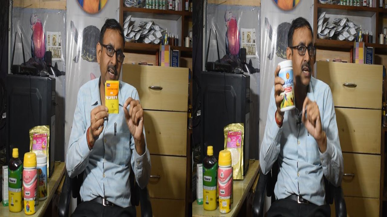 पक्षियों - कबूतरों में लकवा लग जाने पर ये दवाई दे || Birds Treatment || Dr Nagender Yadav