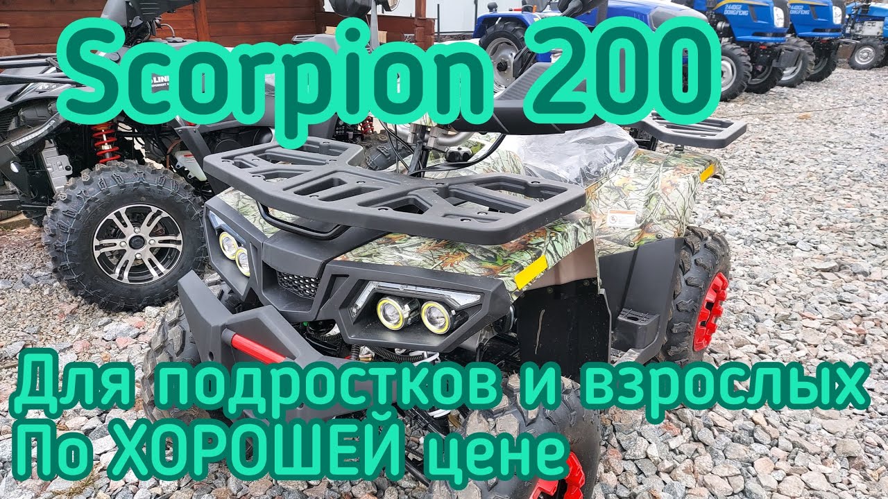 Квадроцикл для подростка и взрослого по хорошей цене! Обзор Scorpion 200