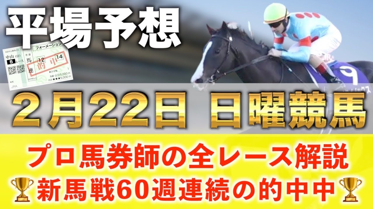 【2月22日日曜競馬予想】想定12番人気138.9倍の超大穴馬を狙い撃つ‼️プロが平場全レース予想を無料公開！【平場予想】
