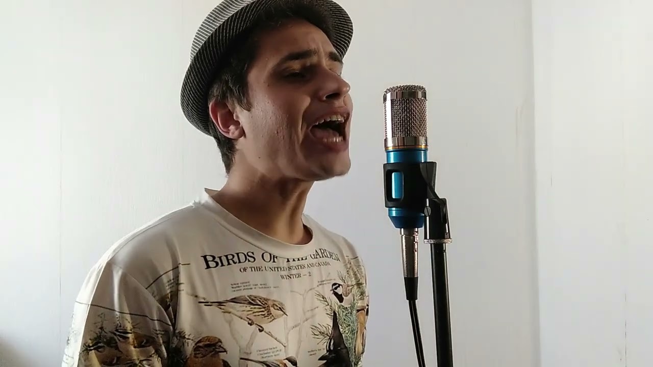 Robert Plant - Big Log (Cover)