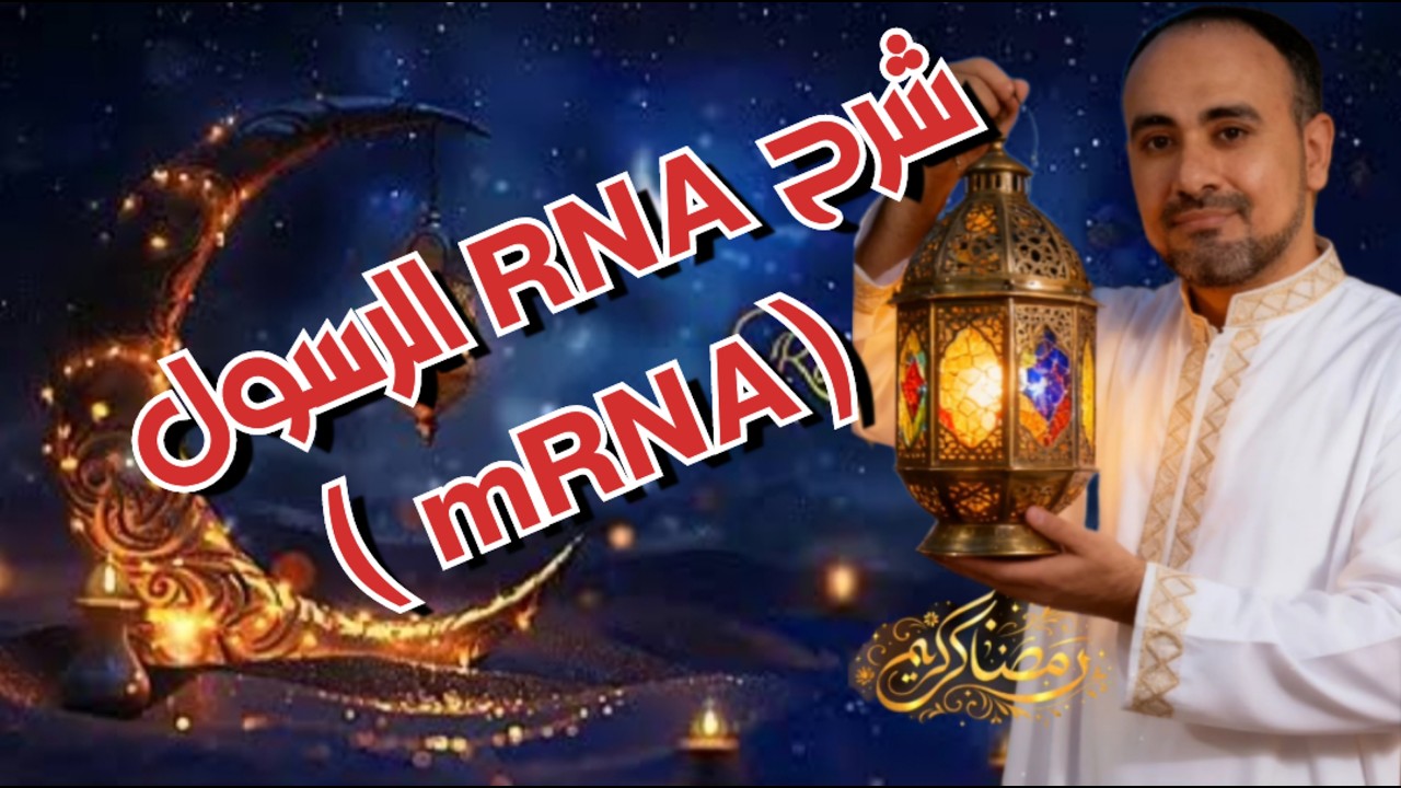 شرح حمض RNA الرسول ( mRNA ) للصف الثالث الثانوي / احياء2026