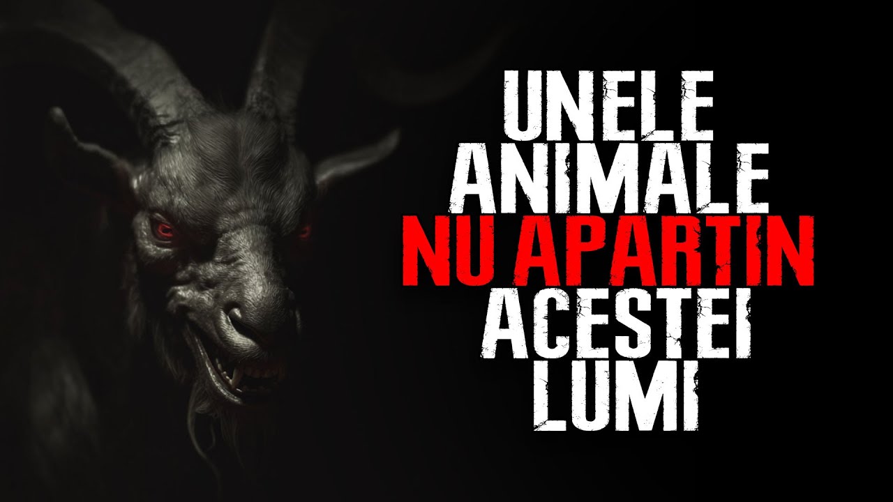 Lucrez tura de noapte la o clinică veterinară. Unele animale nu aparțin acestei lumi Creepypasta