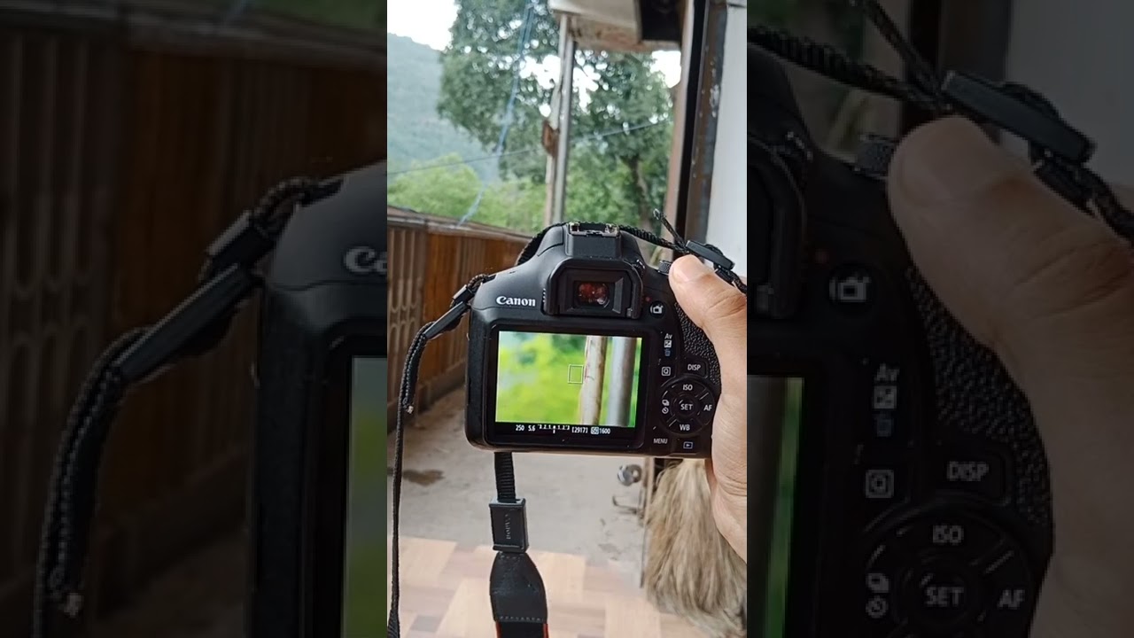 CANON 1500D BEST PHOTOGRAPHY SETTING 📷 #shorts #camera