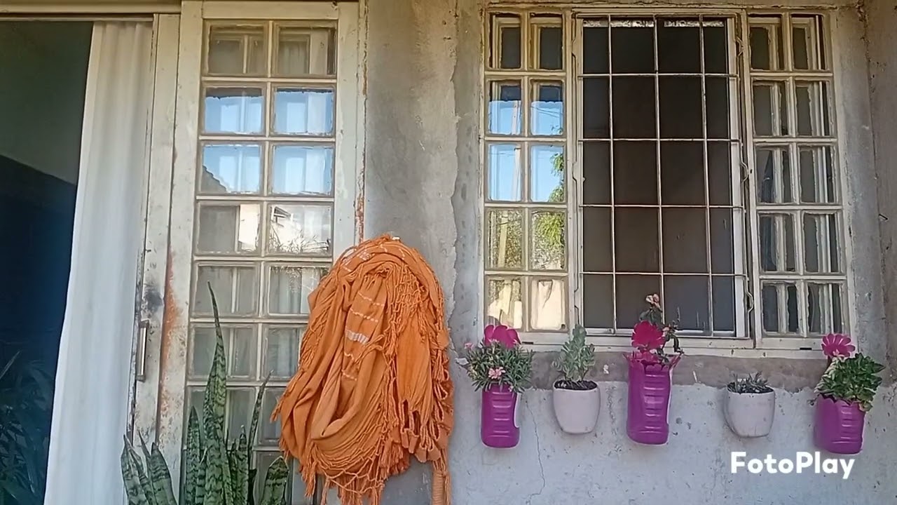 Rotina noturna e um pouco  do meu dia 