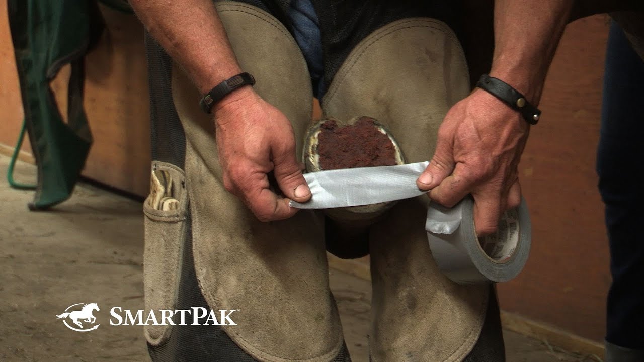 The Smart Way to Pack Your Horse's Hoof