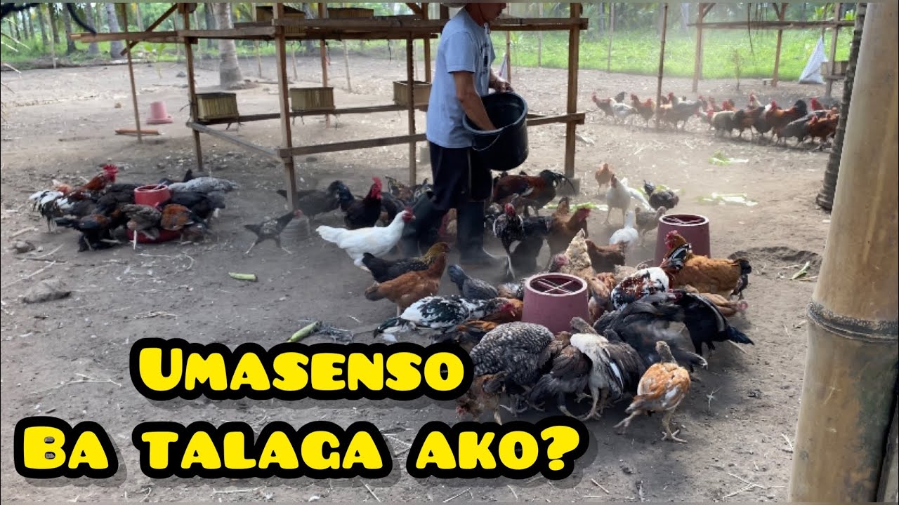 UMASENSO BA TALAGA AKO SA PAGMAMANOK?