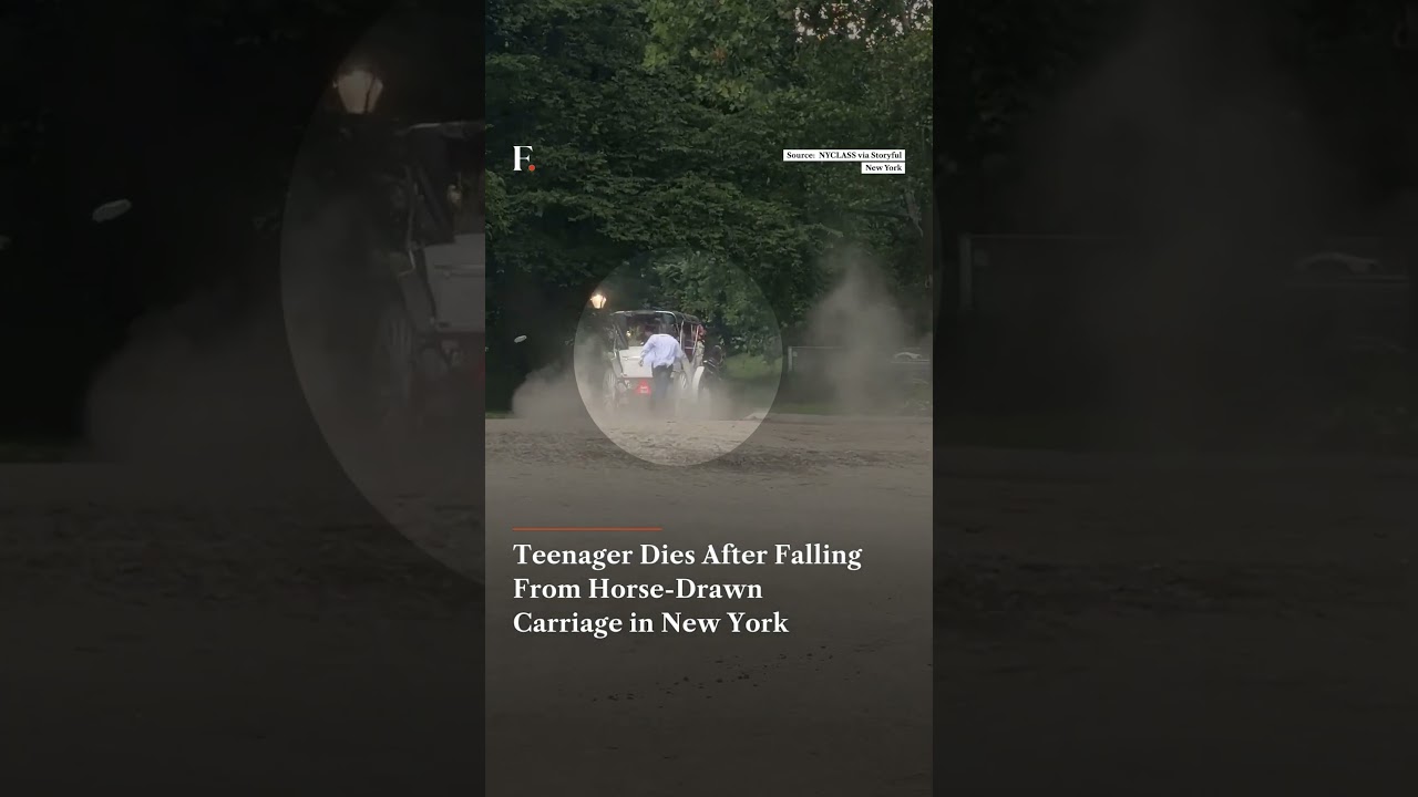 Teenager Dies After Falling From Horse Drawn Carriage in New York | Firstpost News | N18G