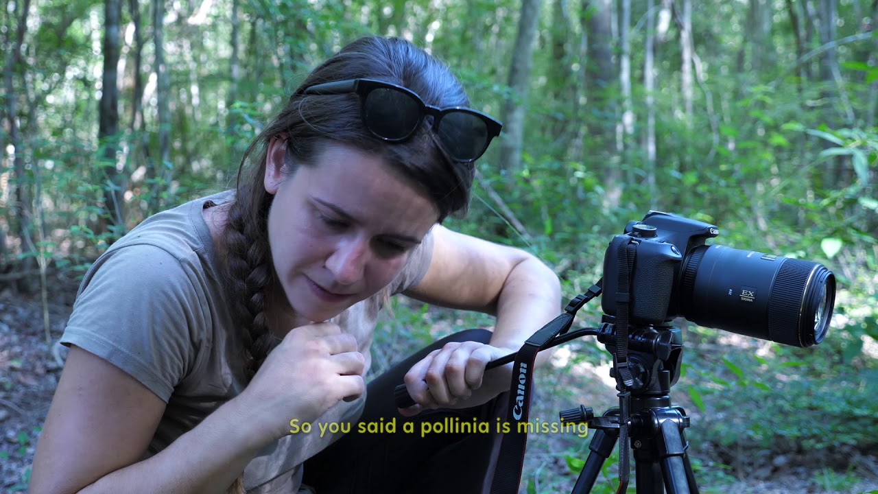 Ecology, Evolution and Biodiversity Master’s Degree Field School in Kirindy (Madagascar)