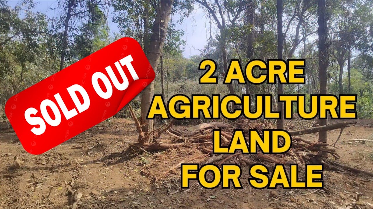 2 Acre Agriculture Land For Sale near sakleshpur 