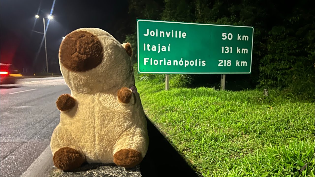Desci a serra e fiz 80 KM em um dia, 18 horas andando de Curitiba ao fim do Paraná