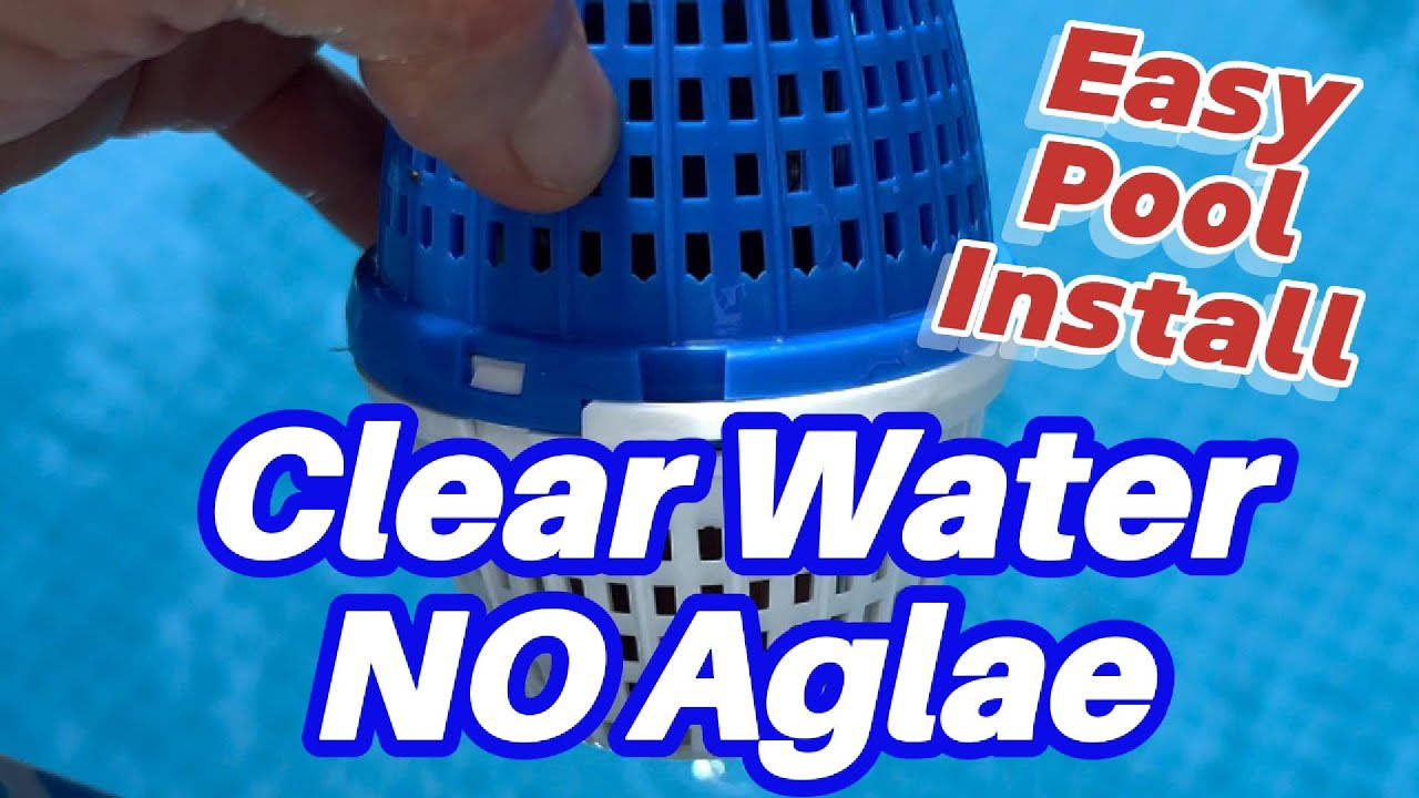 Easiest Pool Algae Fix! 💧 How to Use PoolRx Pod (No Mess, No Guesswork)  #pool #poolcare