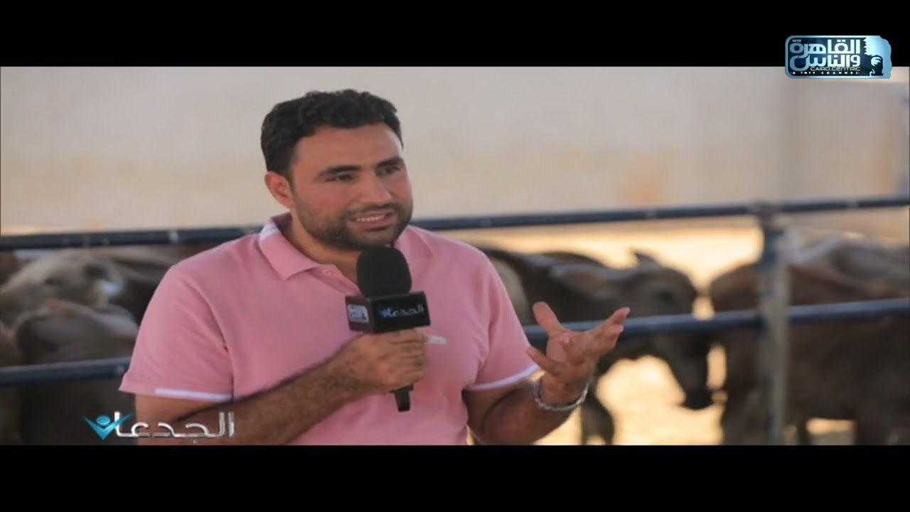 د.محمد بكر: ليس من الصحيح تساوي تكلفة مدخلات تصنيع اعلاف الجاموس بنظيرتها البقرية