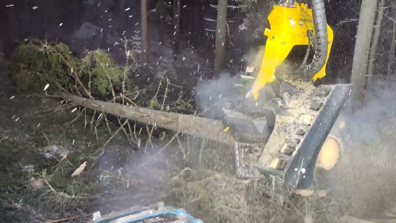 Eco Log 590F with Eco Log 661 LF