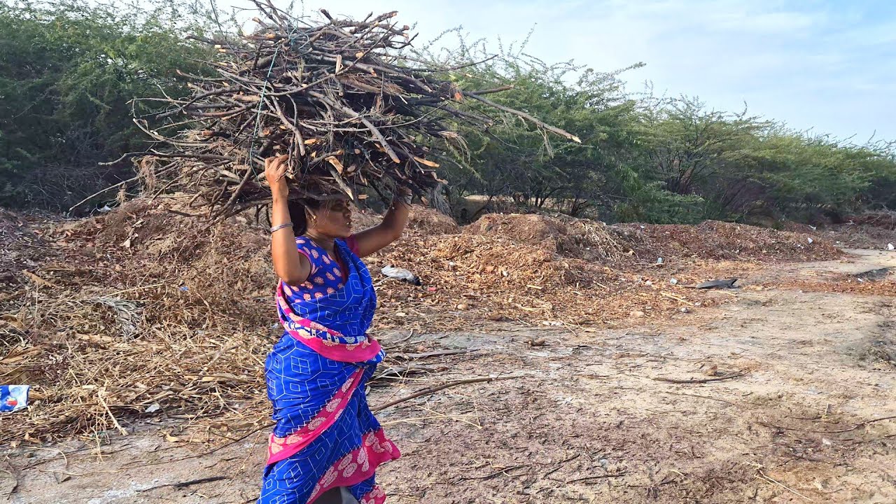 மாலை நேரத்திலிருந்து இரவு தூங்கும் வரை பார்க்கும் அன்றாட வேலைகள்