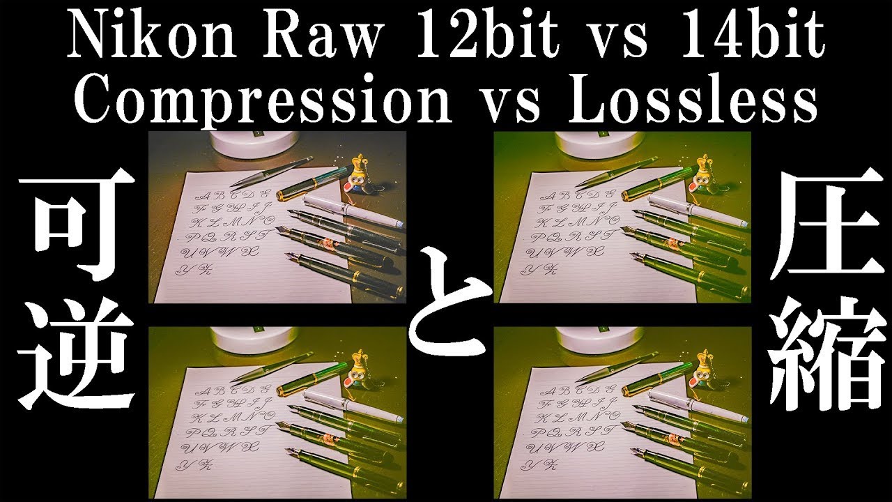 Rawデータ比較 12bit vs 14bit 可逆vs圧縮 lossless vs compression  Nikon D850