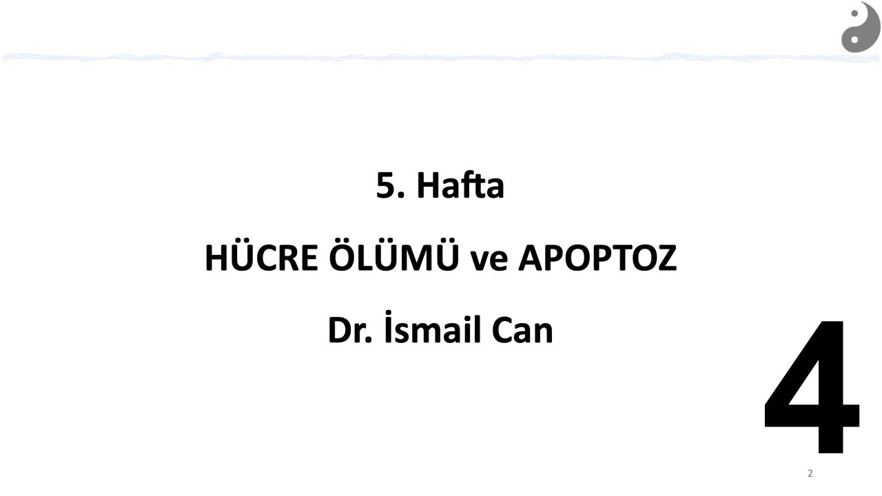Hücre-B23: Apoptozis-4 (Apoptoz nedir? Nekroz ve Apoptoz Farkları) | Dr. İsmail Can