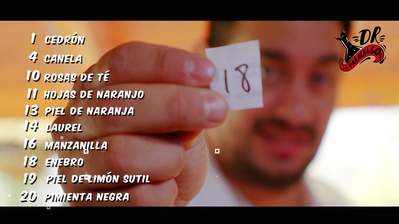 Capítulo 17 - 