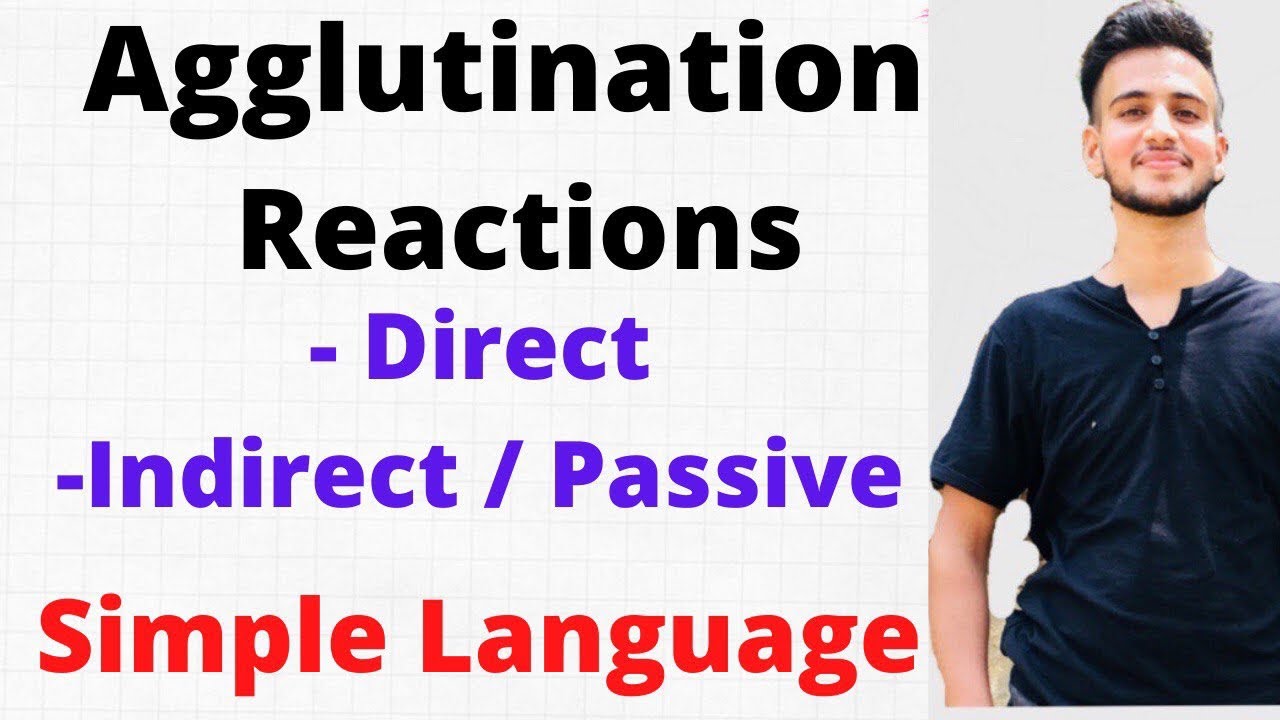 Agglutination Reaction Microbiology/ Agglutination Test
