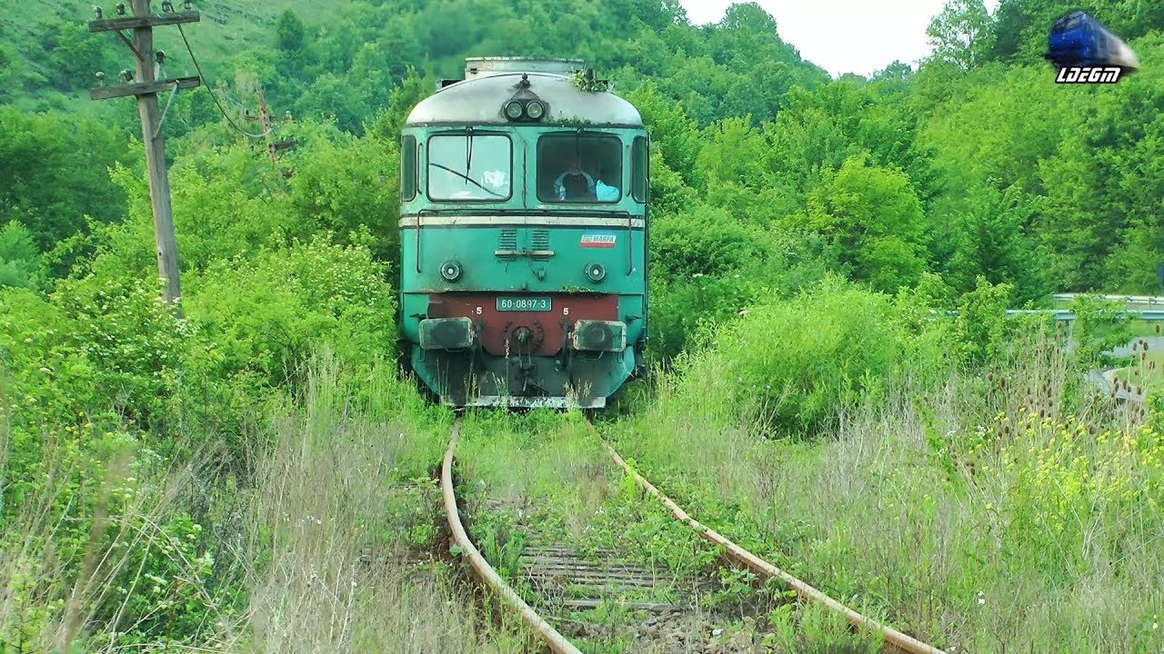 Fluieroasa 60-0897-3 Whistle Loko & Marfar CFR MARFA Freight Train in Defileul Crișului Negru Canyon