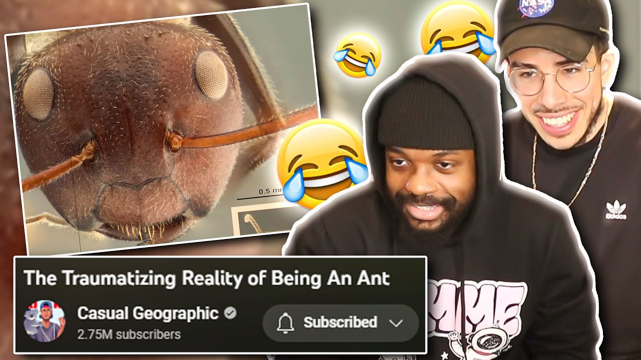 BEING AN ANT IS TRAUMATIZING 🤯💀| Casual Geographic - REACTION!