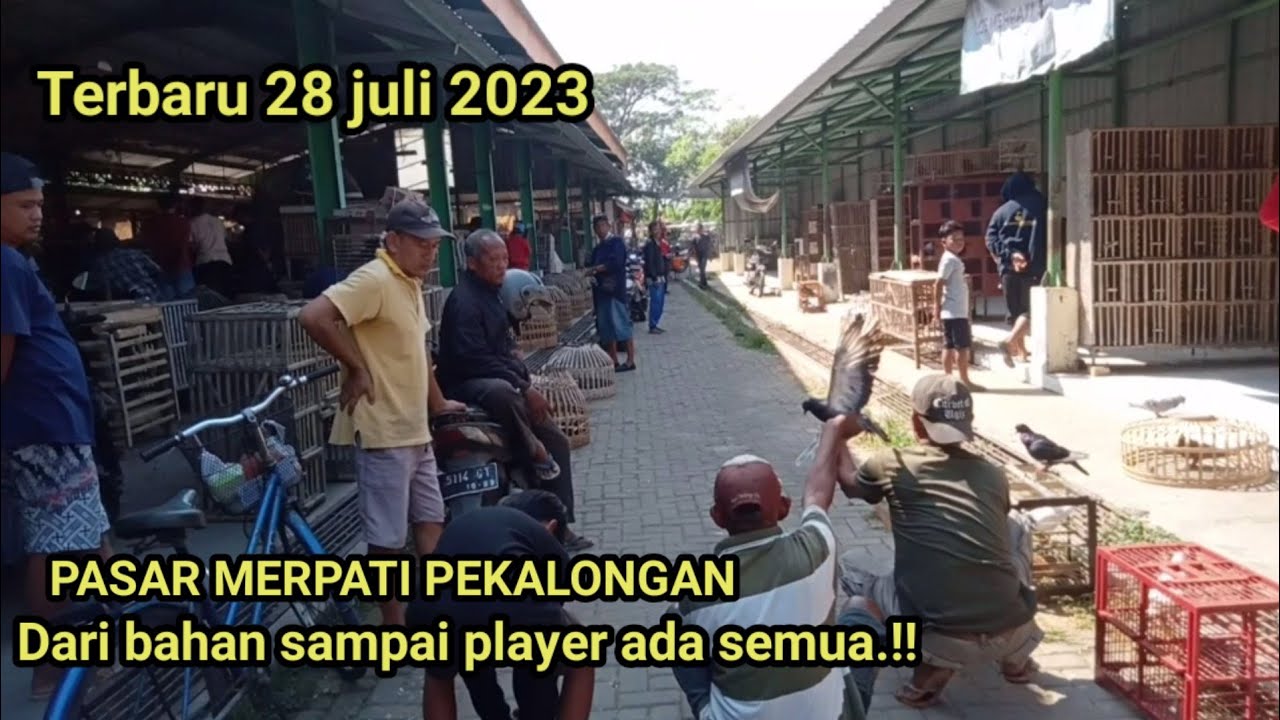 Grebek dan review pasar merpati Pekalongan terbaru | dari bahan sampai player dites Lop semua.!!