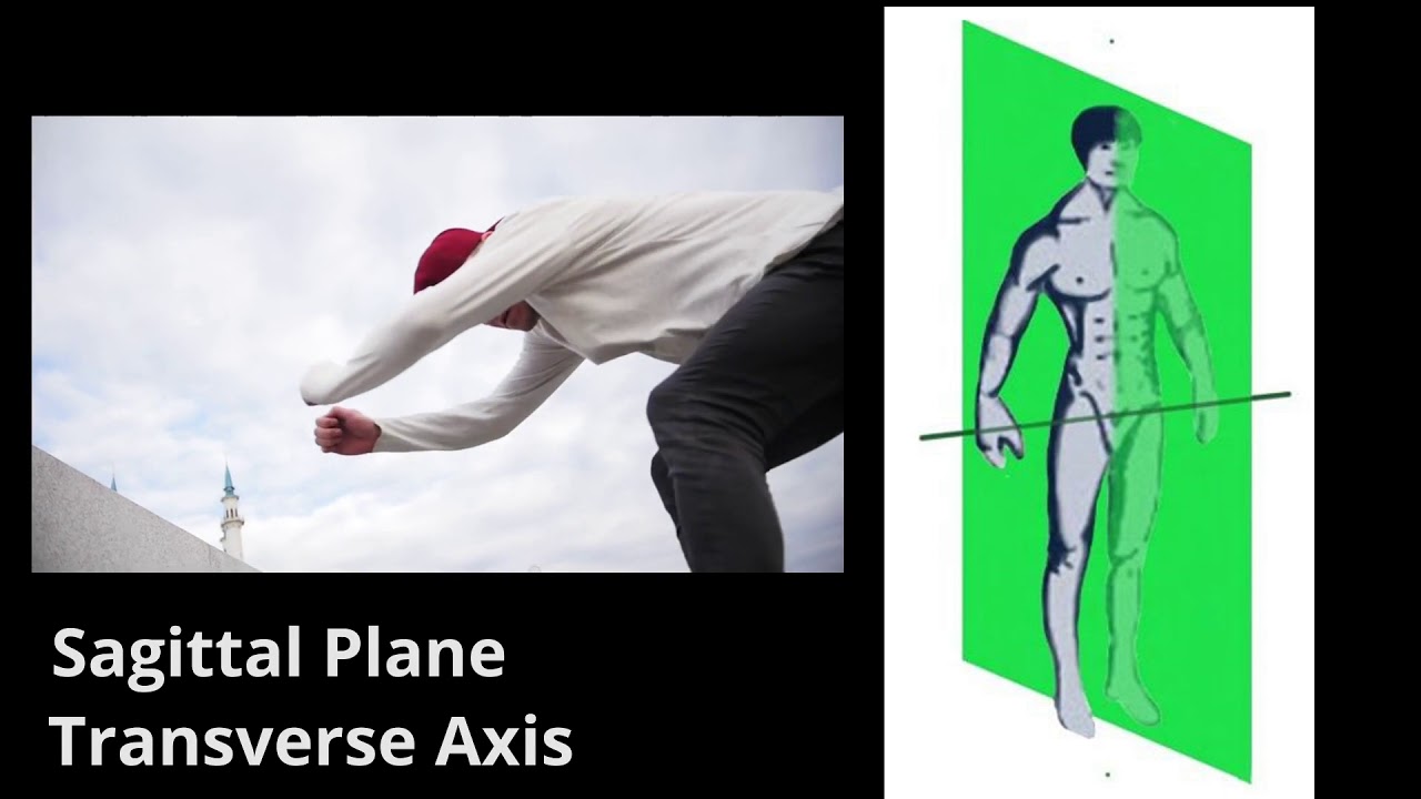 OCR GCSE PE Planes & Axes