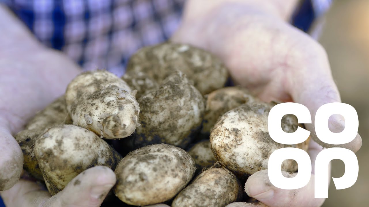 Meet the Producer - Jersey Royals