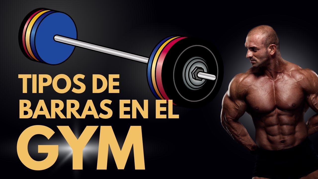 ¿Cuántos tipos de barras hay en el gym?