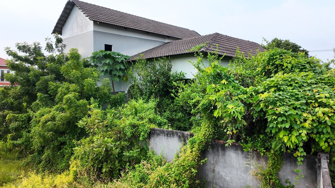 Abandoned for 10 Years — We Began Clearing This $1,000,000 Jungle Villa